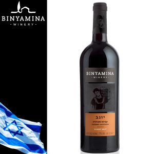 Binyamina Yogev Cabernet Sauvignon 750 ml