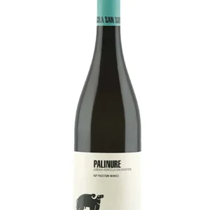 Palinure  IGP Paestum Bianco 2020 San Salvatore 75 CL