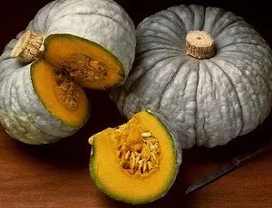 Zucca Mantovana (Italia)